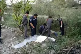 「新检关注」大象踩踏事件泰方拟赔40万家属拒收，律师称或不属见义勇为图片