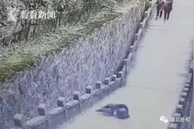 悲剧！安徽九华山风景区一游客玩手机不慎坠落身亡！图片