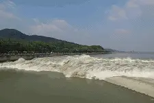 涨知识！舟山潮水口诀”你听过吗？图片