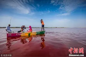 塞内加尔粉红玫瑰湖满满“少女心”图片