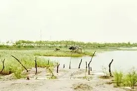 威尼斯水城干涸、秘鲁“纳斯卡线”被毁……世界上十大正在消失的美景，第七个你绝对认识！图片