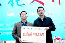 四川省苍溪县第十四届苍溪梨花节拉开帷幕图片