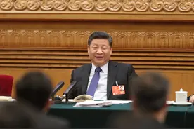 习近平两会新语之“真”字篇图片