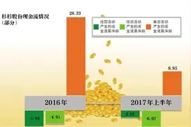 押注新能源背后现金承压 杉杉一年关数百门店图片
