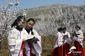 赏花季开启 本周起到邹城看“春暖花开”图片