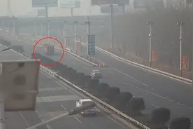 34秒｜“牛”车！载牛货车高速倒车被逮个正着图片