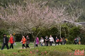 阳春三月百花开 张家界黄龙洞景区春光醉游人图片