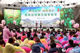 沿河县“最美乡村·相约有李”李花节开幕图片