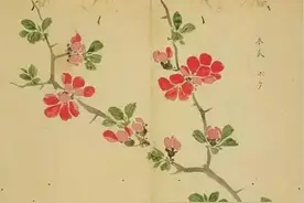 诗经里的植物｜“桃之夭夭，灼灼其华”，把世间最美的都给你！图片