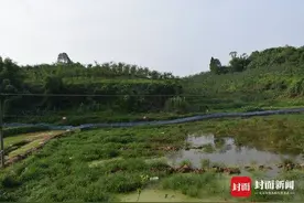 再减贫5000人！看隆昌脱贫攻坚如何啃下“硬骨头”图片