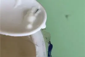 胶东老酸奶喝出异物 完达山：可能是纸屑图片