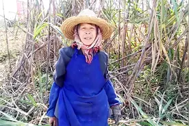广西这3个老妇挑起砍甘蔗重任，男人病的病，打工的打工视频封面