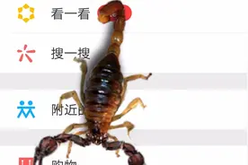 教你开启手机特效，让蝎子在微信满屏爬，只有安卓手机可以！视频封面