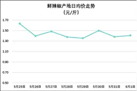 2016/6/1鲜辣椒价格行情：品种之间行情差异大图片