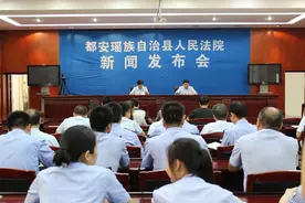 都安法院“执行案件集中清理月”活动取得成果丰硕图片