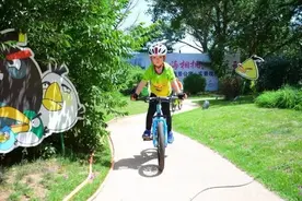 六一特辑 选购童车6大注意事项图片