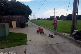 给跪!美国懒爸用遥控玩具车溜孩子图片