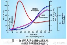 怀孕早知道丨验孕棒、测血液HCG图片