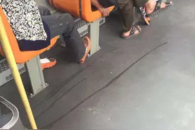 老人让小女孩在公交车上撒尿 到底该不该?图片