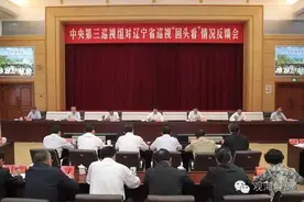 中央巡视“回头看”挖出了哪些老问题？图片