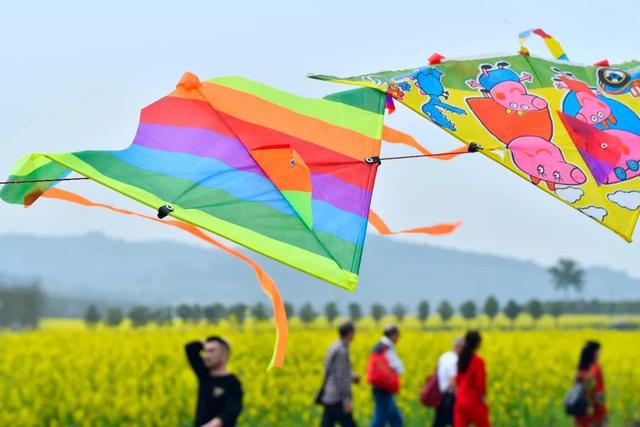 提醒|最近在家或外出都要小心它!一周内已有多人中招进医院……