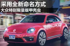 大众特别限量版甲壳虫 采用全新命名方式图片