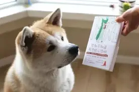 知书丨得了老年痴呆症的妈妈忘记了我，一只狗却图片
