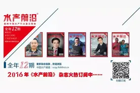 珠三角台湾泥鳅6月市场观察：鱼价弱势而行，养殖户割肉减仓图片