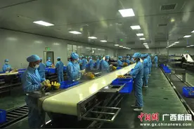 南宁媒体走基层 体验“那文化之乡”隆安发展新速度图片