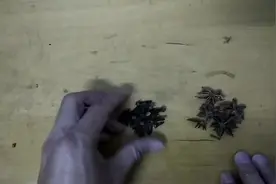 丁香油的做法，加在自制饵料里，野钓效果非常好！视频封面