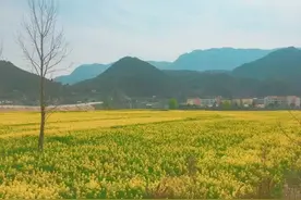 走进四川广元市朝天区羊木镇视频封面