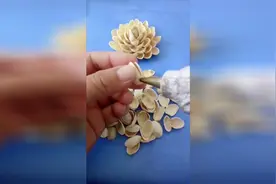 开心果的壳经过巧手一加工，变成人人抢着要的工艺品！太牛啦！视频封面