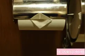 上厕所必学的纸巾折纸艺术，纸巾还能折小鸭子，上厕所必学！