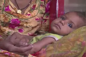 厉害了，竟给小羚羊喂母乳