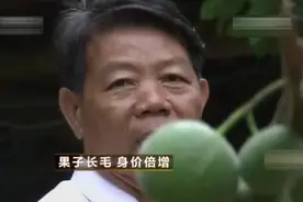 大叔做生意亏100万，绝望中竟发现长毛的果子，一年赚回1000万元视频封面