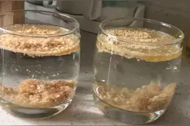 酥咔饼干骗局！包裹油脂下沉都是假的！自己在家做的实验！视频封面