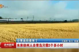 合青高铁要来了 未来徐州人去青岛只需2个多小时视频封面