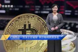比特币这一泡沫正在破裂，其价格将跌到多低？视频封面