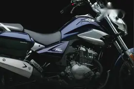 豪爵 TR150 新概念美式太子视频封面