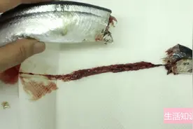 秋刀鱼好吃难清洗鱼内脏，这招一扯鱼头整个内脏全出来，厨房必备视频封面