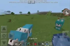 我的世界MC手机版教学：新版本狗狗居然能穿盔甲！还能骑