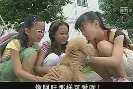 《巴啦啦小魔仙》体育老师为了救茵茵被车撞，真是糟糕视频封面
