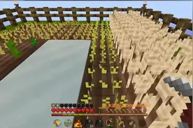 清扬解说《我的世界空岛生存记》04 大雪纷飞 扬老师课堂图片