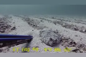 深海魔爪！强大的鱼叉让你晋升捕鱼达人