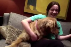 女主想看狗狗吸奶嘴的样子，当把孩子的奶嘴递过去后，画面太逗了图片