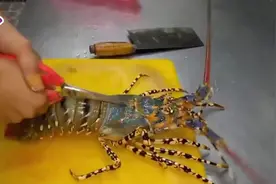 大龙虾最完美的吃法，先放血，然后再用焗炉烤，太美味了视频封面