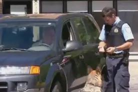 交警拦车检查，叫来一只警犬协助，接下来发生的事让司机崩溃了！图片