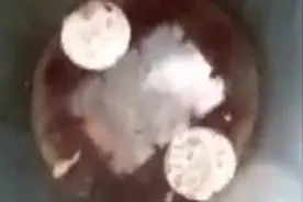 小朋友一时贪玩钻进去垃圾桶，随后他整个人都吓慌了图片