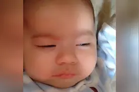 本宝就想安安静静地睡觉。你能不能别吵我？图片