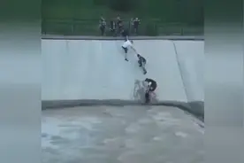 一只狗狗不小心掉进河里之后，路人们的反应，很暖心！图片